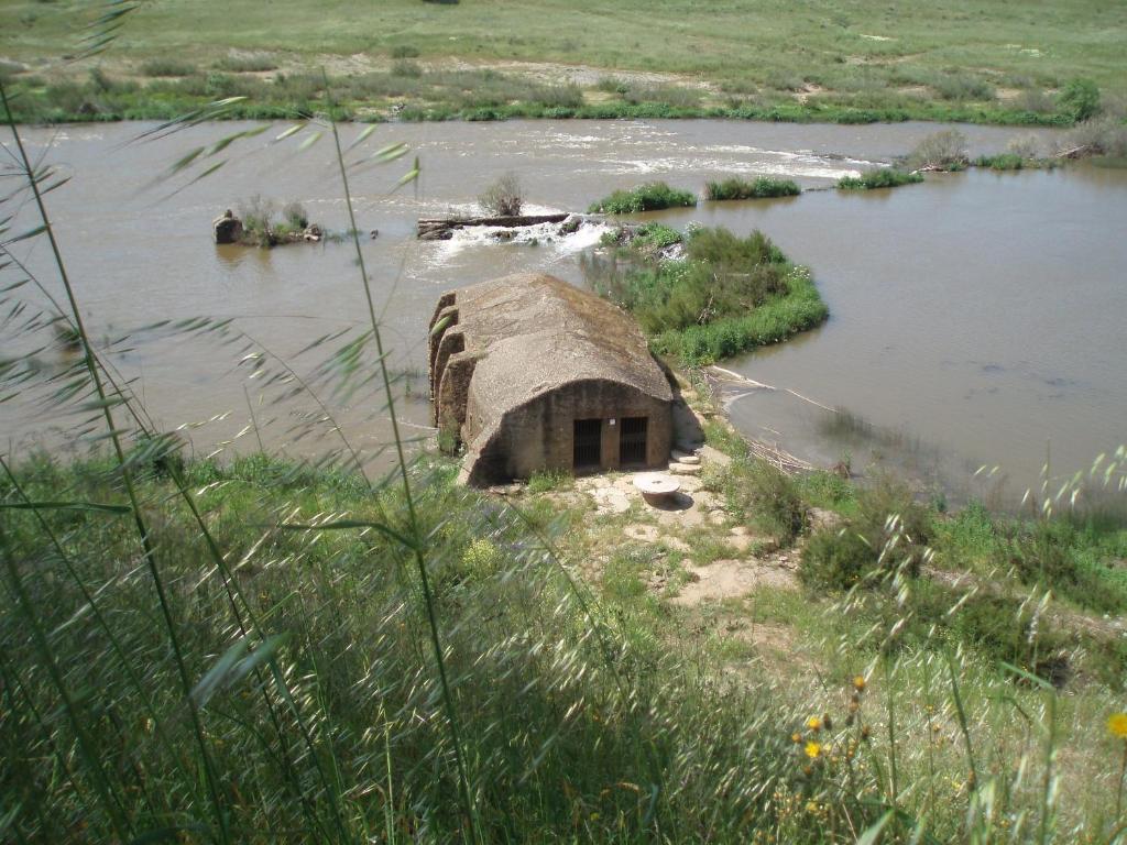 בית הארחה Pedrogao  	Casa De Pedrogao מראה חיצוני תמונה